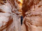Hike The White Domes Trail, Valley of Fire State Park, Nevada
