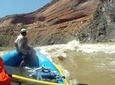 1 Day Westwater Canyon