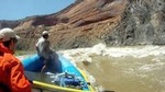 1 Day Westwater Canyon