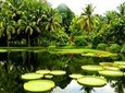 1 Day Xishuangbanna City Tour with Menglun Tropical Botanical Garden