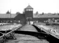 Combo Tour to Auschwitz-Birkenau and Wieliczka Salt Mine