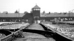 Combo Tour to Auschwitz-Birkenau and Wieliczka Salt Mine