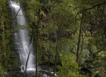 See Erskine Falls, Great Otway National Park, Australia