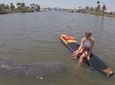 Dolphin and Manatee Stand Up Paddleboard Tour