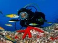 2-hour Scuba Diving Baptism in Caleta de Fuste