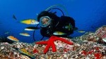 2-hour Scuba Diving Baptism in Caleta de Fuste