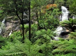 See Triplet Falls, Great Otway National Park, Victoria, Australia