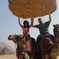 8-hours full-day Giza Pyramids Sphinx Memphis Sakkara Day tour