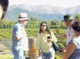 Aconcagua Private Wine Lovers Premium Tour