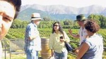 Aconcagua Private Wine Lovers Premium Tour