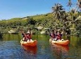 2.5 Hour Small Group Kayaking Adventure with Lunch