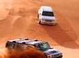 Dubai Red Dune Safari and BBQ Dinner, with Camel Ride, Sand Boarding