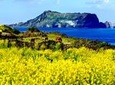 UNESCO Small Group Day Tour of Jeju Island - East Course
