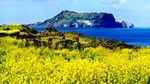 UNESCO Small Group Day Tour of Jeju Island - East Course