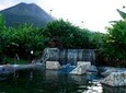 Arenal Volcano & Baldi Hot Springs From San José