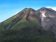 Arenal Volcano Rainforest Walk and Hot Springs