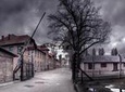 Auschwitz-Birkenau Historical Guided Tour From Krakow with Transport