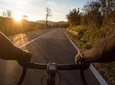 Bike tour with wine tasting