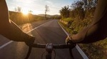 Bike tour with wine tasting
