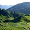  Cameron Highlands Countryside Tour