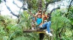 Zipline Adventure San Luis From San José
