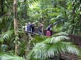 Full Day Daintree Rainforest and Mossman Gorge Tour