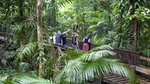 Full Day Daintree Rainforest and Mossman Gorge Tour