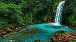 Celeste river waterfall and volcano guided rainforest hike and exuberant wildlife watching tour at Arenal in La Fortuna