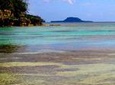 Full-Day Chief Roi Mata Domain, Artok Island and Rainforest Tour of Vanuatu