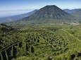 Ruta de Las Flores Coloful towns, Coffee, indigenous roots