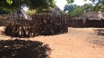 Community visits - full day package