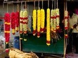 Full Day Tour of Chennai with Guide and Lunch