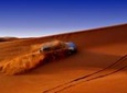 Dubai Desert Red Dune Half-Day Safari Adventure & BBQ Dinner