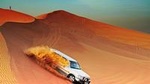 Dubai City Tour and Evening Desert Safari with BBQ Dinner- Combo Tour