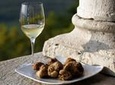 Flavours of Istria Tasting Experience from Koper