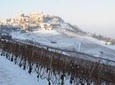 Private tour from Turin: Full day Langhe Region with its Colors and Flavors