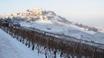 Private tour from Turin: Full day Langhe Region with its Colors and Flavors