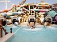 Full Day Abu Dhabi City Tour & Yas Water World Entry ticket with Transfers