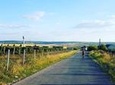 Full Day Bike Tour Orheiul Vechi (Old Orhei) and Branesti Cellars
