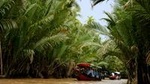 PRIVATE LUXURY Mekong Delta full day from HCM city