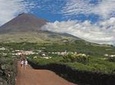 Full-Day Pico Island Tour from Horta