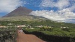 Full-Day Pico Island Tour from Horta