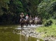 Full-Day Safari Tour from Punta Cana