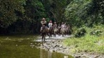 Full-Day Safari Tour from Punta Cana