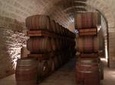 Full-day Salento Wine and Food Tour