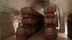 Full-day Salento Wine and Food Tour