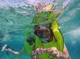 Morning Guided Snorkeling Tour