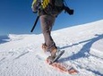 Tromso Guided Snowshoe Trip