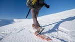 Tromso Guided Snowshoe Trip