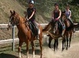 Half-Day Horseback Ride in Tuscany for beginner riders
